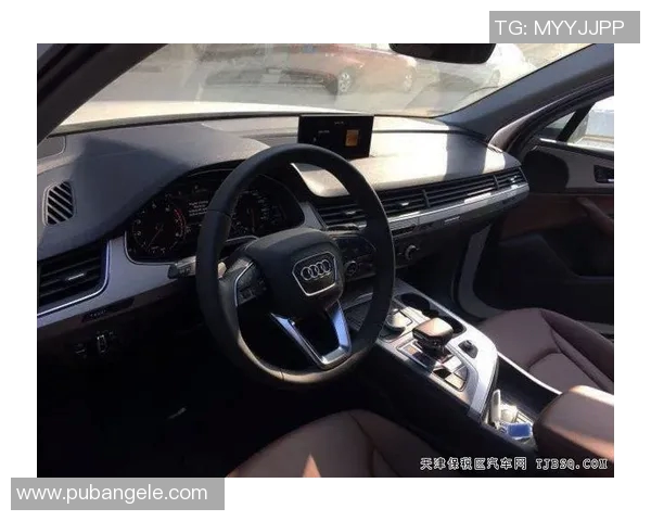 重庆篮球队的崛起与挑战全景揭秘篮球巨献的背后故事