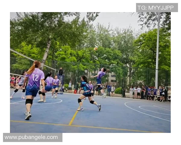 北京排球队边路渗透战术解析与深度剖析排球技术的魅力与挑战