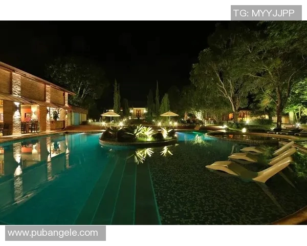 水中竞技与艺术融合的精彩盛宴 游泳表演会带你领略极致魅力